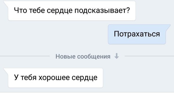  - 8  2017  10:04