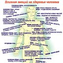  , -, 43  -  11  2017    