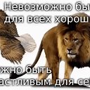 ���� ��������, ���������, 57 ��� - ��������� 19 ���� 2017 � ������ ���� ����������