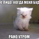  ,  -  31  2017   