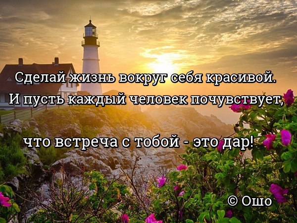 Чувствую каждые. Сделай жизнь вокруг себя красивой. Создавать мир вокруг себя. Жизнь вокруг. Создавать жизнь.