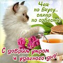 ���� ������, ������, 36 ��� - ��������� 20 ������� 2017 � ������ ���� ����������