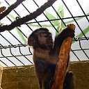 ���� �������, �����-���������, 38 ��� - ��������� 27 ���� 2017 � ������ ���� ����������