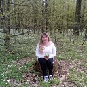 ���� ����, �����, 41 ��� - ��������� 2 ��� 2017 � ������ ���� ����������