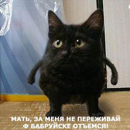 Minmin, ������, 58 ���
