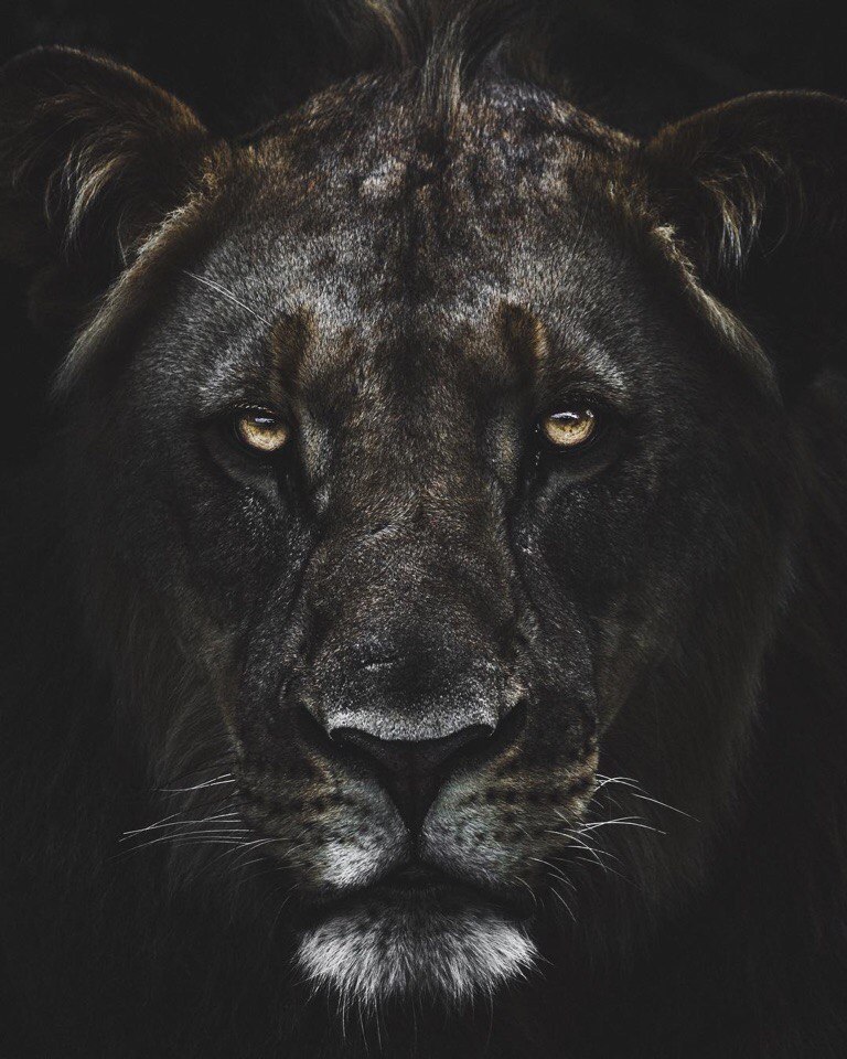Africa - 3