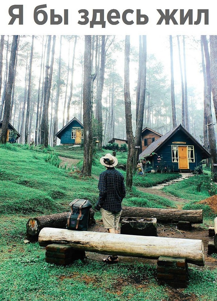 Лайфхак - 13 октября 2017 в 14:46