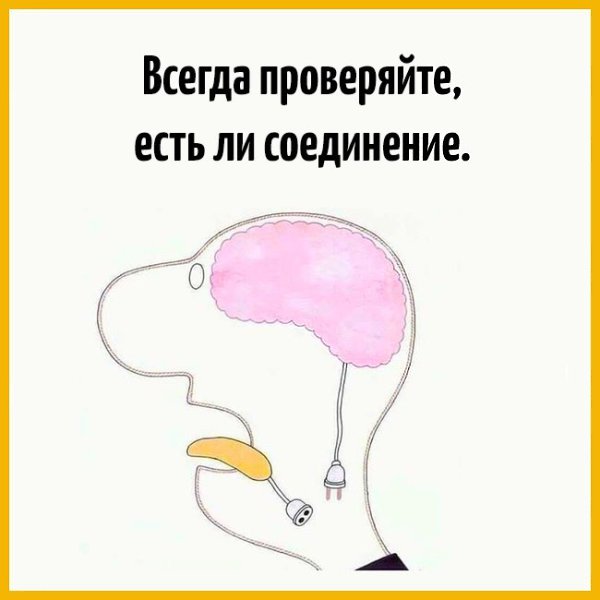   - 6  2017  13:47