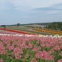 ���� ������, ����-��������� - ��������� 3 ������� 2017 � ������ ���� ����������