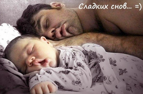    GIF,    .-     ,  ... - 11