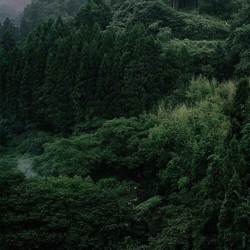    wi-fi,   ,    . - 5
