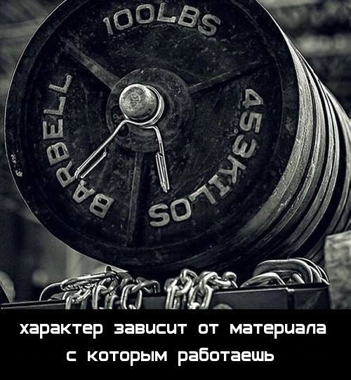  -   - 19  2017  16:08