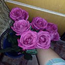 ���� ���������, ������ �����, 39 ��� - ��������� 3 �������� 2017 � ������ ���� ����������