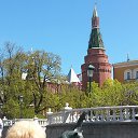 ���� �����, ������������ - ��������� 16 ��� 2017 � ������ �������. ��������������� ���.�