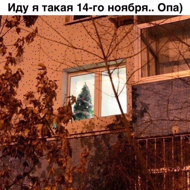   - 15  2017  03:46