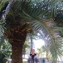 ���� ����, ��������, 55 ��� - ��������� 26 ������� 2017 � ������ ���� ����������