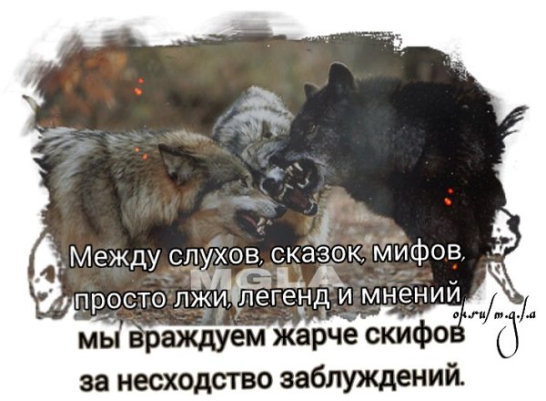   - 18  2017  17:03