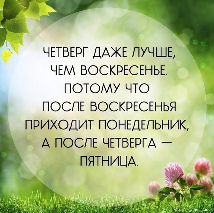#���� #�������_������