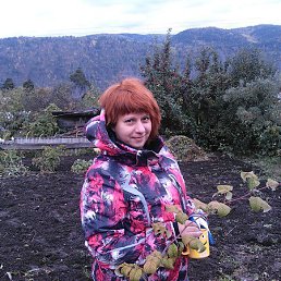 �����, ����������, 56 ���