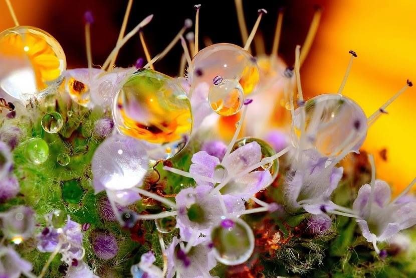  ! - 26  2017  10:34 - 2