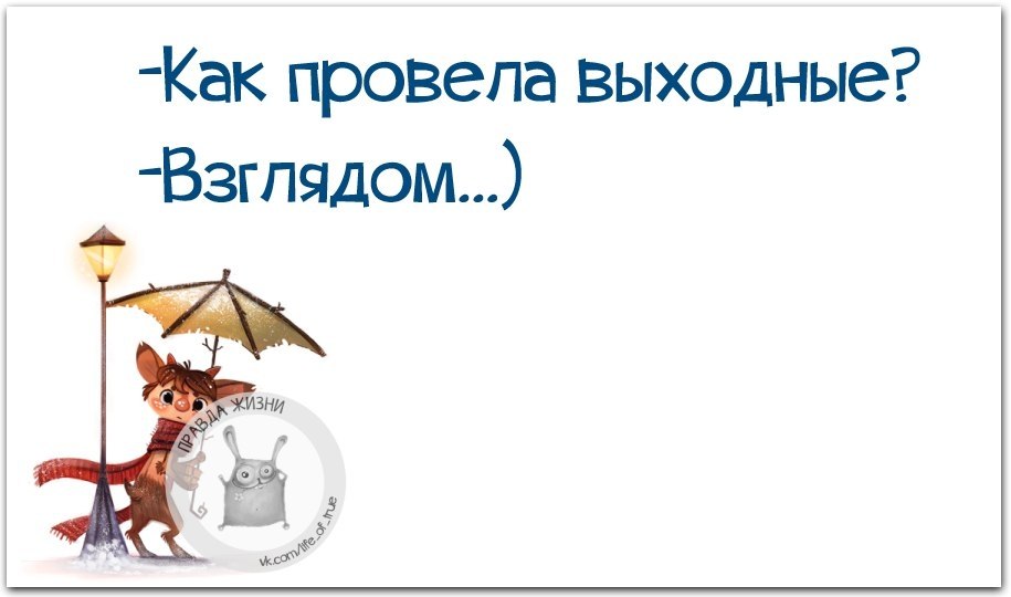  - 11  2017  23:46