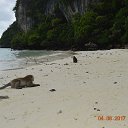 ���� �������, ���������, 46 ��� - ��������� 19 ������� 2017 � ������ ����������