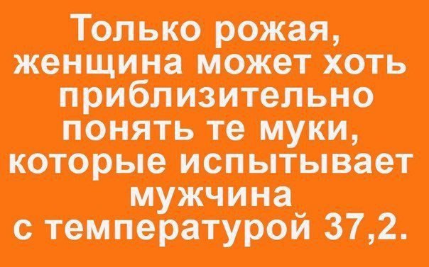   -   - 1  2017  15:13