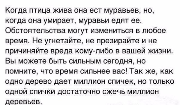 IQ Blog: , , ,  - 16  2017  13:07