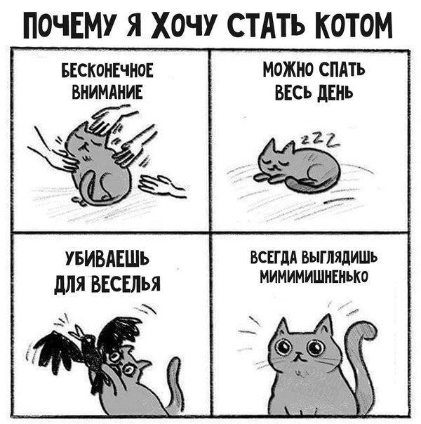 JPG - 26  2017  00:41