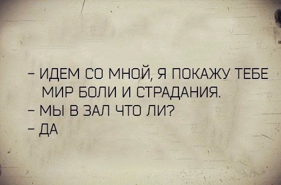  -   - 4  2017  03:41
