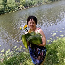 ���� ���������, �������, 50 ��� - ��������� 22 ���� 2017