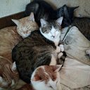 ���� ������, �����, 59 ��� - ��������� 13 ��� 2017 � ������ ������ ��������