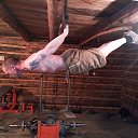 ���� Evgeny, ���, 51 ��� - ��������� 10 ���� 2017 � ������ ���� ����������