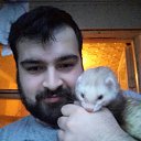 ���� �����, ���������� - ��������� 2 ���� 2017