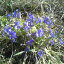 ���� �������, ���������, 48 ��� - ��������� 9 ��� 2017 � ������ ���� ����������