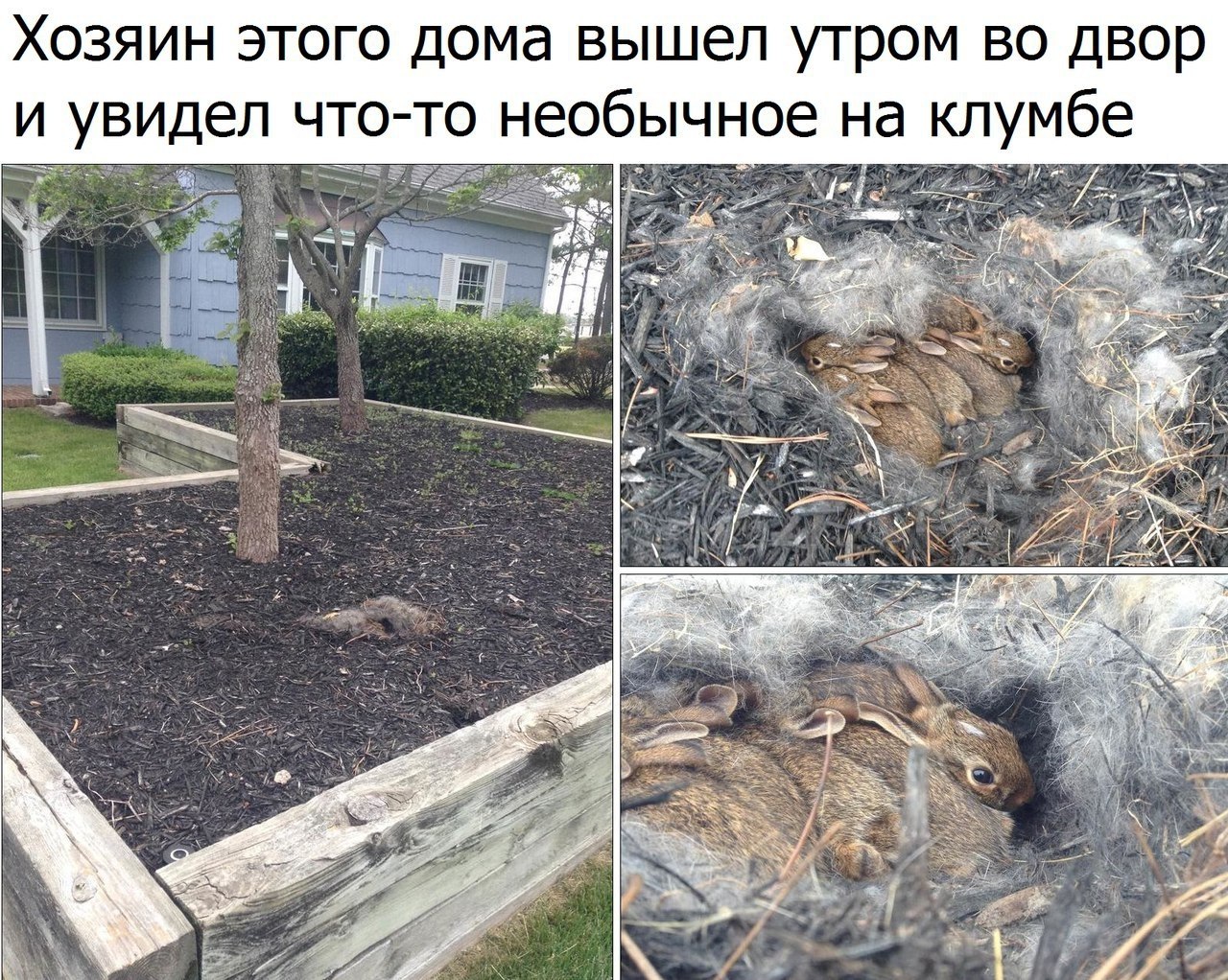   - 22  2017  11:07