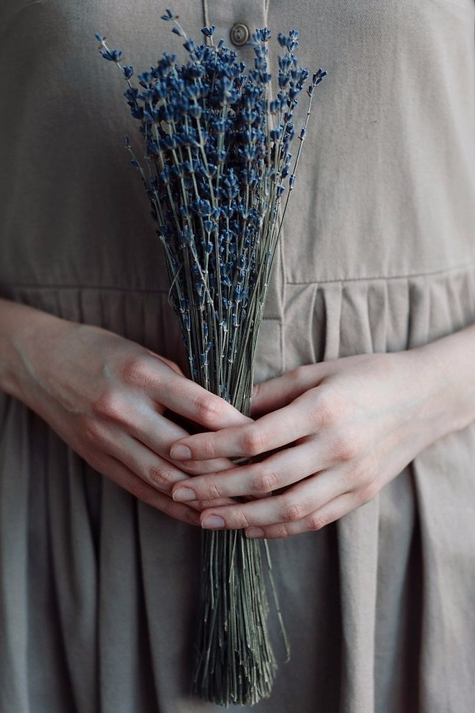Ph: [id411497479| ] - 5
