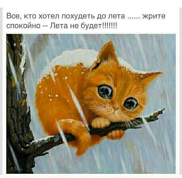     , , , .    ,     ! :-) - 3
