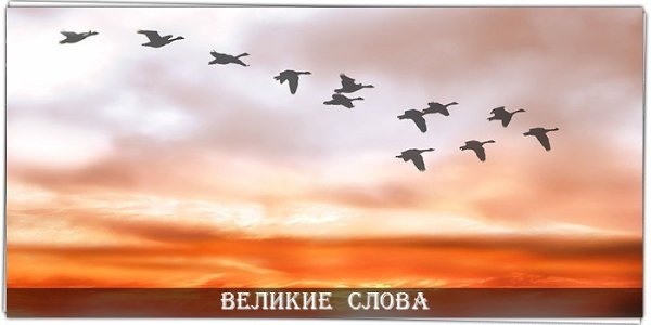 Возможность дается тем, кто мечтает. Чудо дается тем, кто верит.