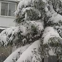 ���� ������, ������ - ��������� 19 ������ 2017 � ������ ������ ��������