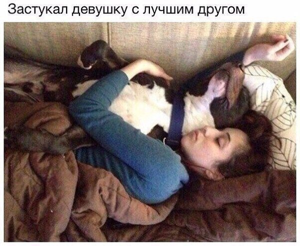    - 3  2017  03:41