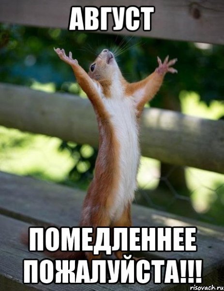 СКОРО 1-ГО СЕНТЯБРЯ! Господи, дай мне сил, делать уроки с ребенком и при этом остаться умной ...