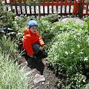 ���� A���, ������ - ��������� 14 ��� 2017 � ������ ����....��� ���.�