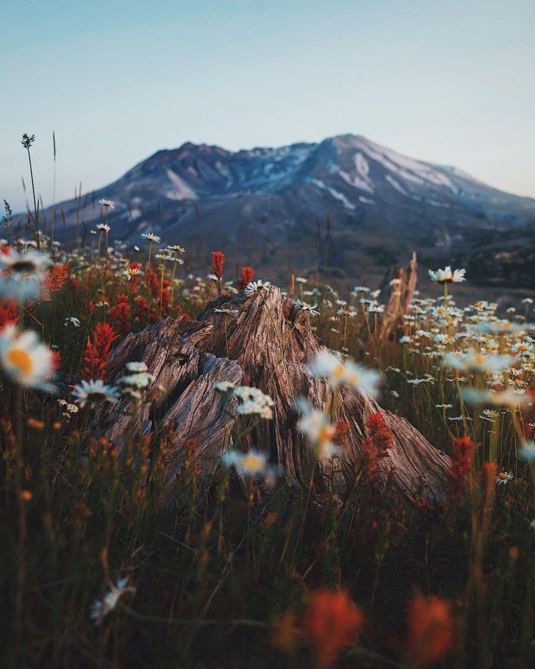 Mount St. Helens