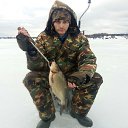 ���� �������, ��������, 44 ���� - ��������� 4 �������� 2017 � ������ ���� ����������