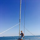 ���� ������, ���������, 43 ���� - ��������� 20 �������� 2017