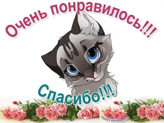  - 2  2017  18:58