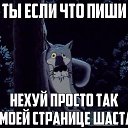 ���� ������, ����������, 41 ��� - ��������� 15 ������� 2017 � ������ ���� ����������