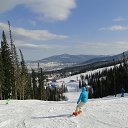 ���� �����, ����������� - ��������� 11 ������ 2017 � ������ �������� ������ 2017�