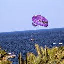 ���� �����, ��������������, 61 ��� - ��������� 25 ��� 2017 � ������ ������ ������